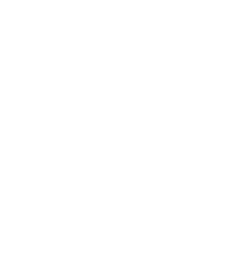 All men are created equal but only the best are born in november model negru pe tricou