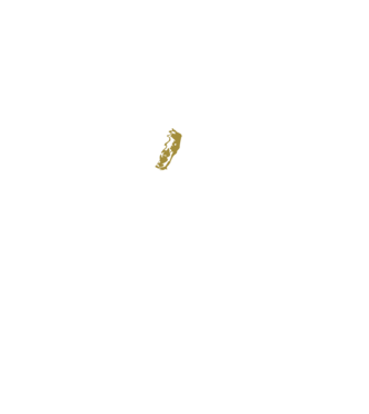 King in the north 2c model negru pe tricou