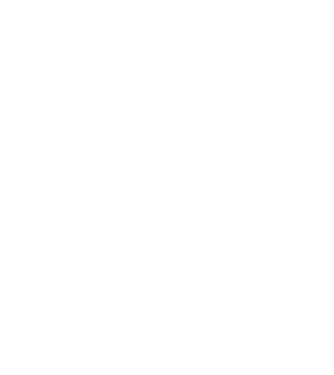 Bunicdidas model alb pe tricou