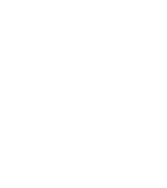 numaidoar trap model alb pe tricou