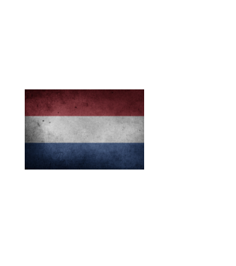 NETHERLANDS model negru pe tricou