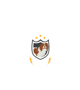 serviciu de securitate - securitate - persistență - 24 de ore pe zi model negru pe tricou