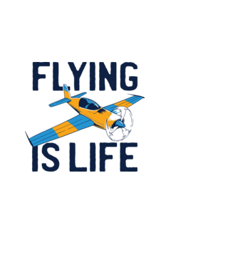 Avioane model alb pe tricou