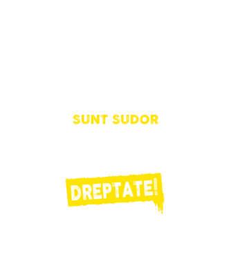 Sunt sudor, pentru a economisi timp, să reținem că am întotdeauna dreptate! model negru pe tricou