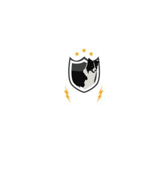 serviciu de securitate - securitate - persistență - 24 de ore pe zi model negru pe tricou