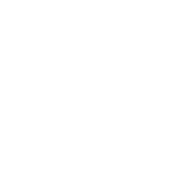 LOVE Boston Terrier model negru pe tricou