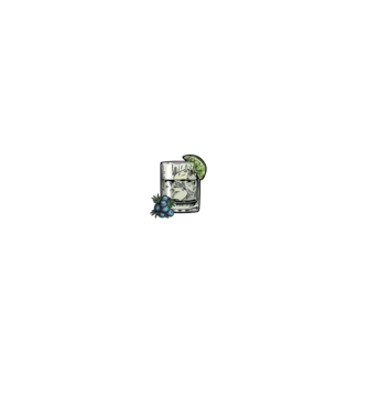 Let the fun be gin model negru pe tricou