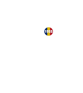 made in 1955 retro vintage model negru pe tricou