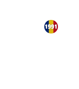 Made in 1991 model turcoaz pe tricou