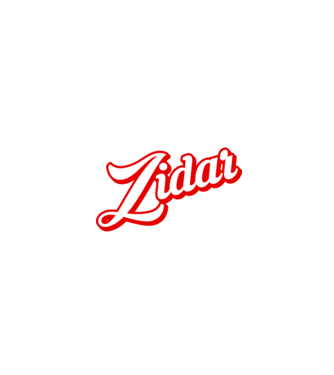 Cel mai bun ZIDAR din lume model negru pe tricou