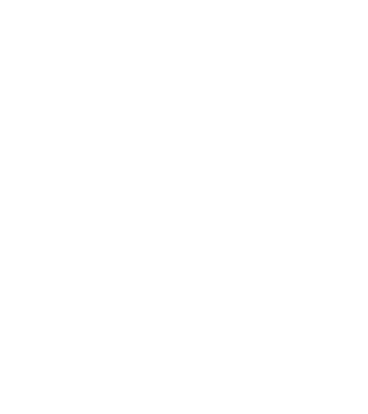 Crazy Cat Ladies are born in December model negru pe tricou