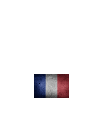 FRANCE model alb pe tricou