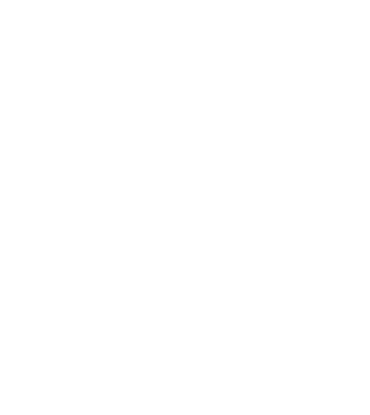 All men are created equal but only the best are born in november model negru pe tricou