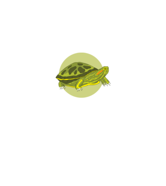 Turtle model negru pe tricou