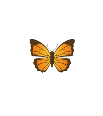 Butterfly model alb pe tricou