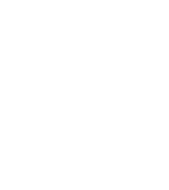 LOVE Havanese model negru pe tricou