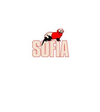 sofia la casa de papel model negru pe tricou