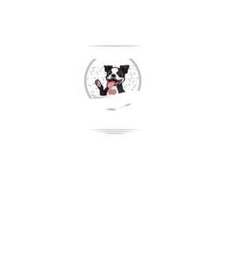 Toți sunt egali, dar numai cei mai buni devin stăpâni de boston lght model negru pe tricou