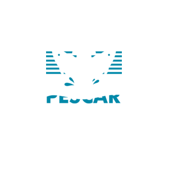 Pescar original model turcoaz pe tricou