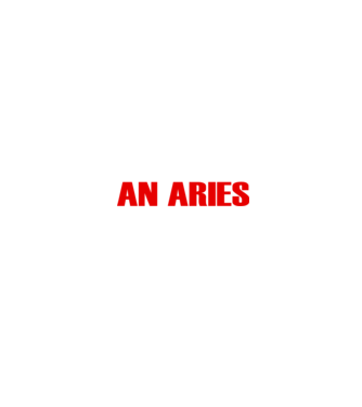 Piss of an ARIES model negru pe tricou