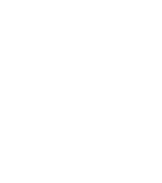 Vintage chick - 70 model bordo pe tricou