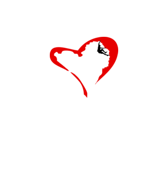 heartclimb model galben neon pe tricou