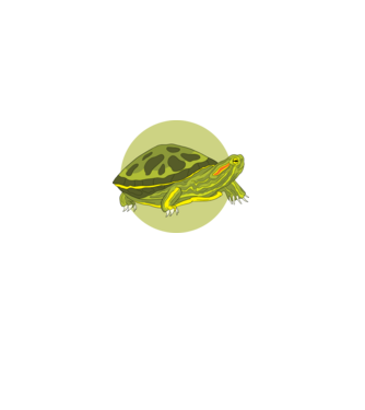Turtle model negru pe tricou