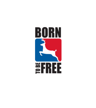 born to be free model albastru deschis pe tricou