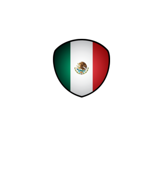MEX-jabulani-flag model alb pe tricou