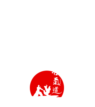 Aikido model albastru închis pe tricou