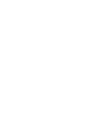 Bug fixed model negru pe tricou
