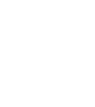 EarthLogo model negru pe tricou