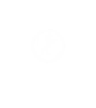 horse badge model albastru jeanși pe tricou