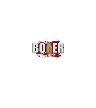 Bober Kurwa model negru pe tricou