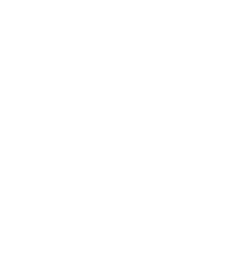 România made in model alb pe tricou