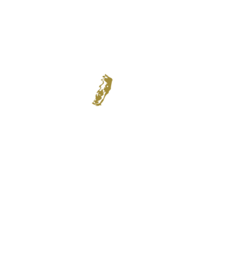 King in the north 2c model negru pe tricou