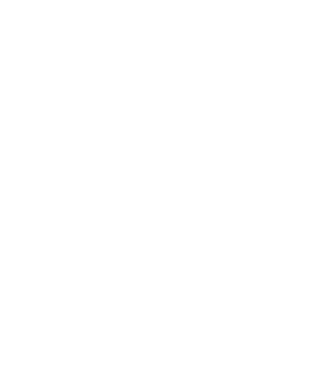 LOVE Vizsla model turcoaz pe tricou