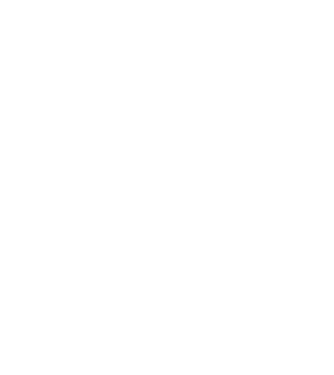 I see your point model turcoaz pe tricou