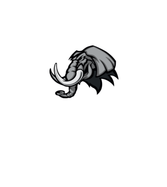 Elephant model gri pe tricou