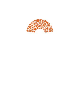 Pokeball model negru pe tricou