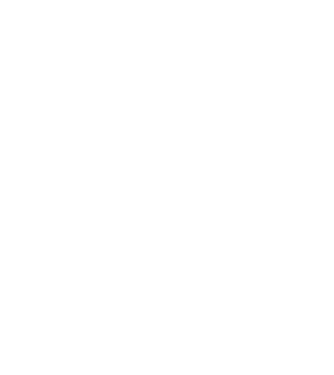 Regele - ceaunului! model turcoaz pe tricou