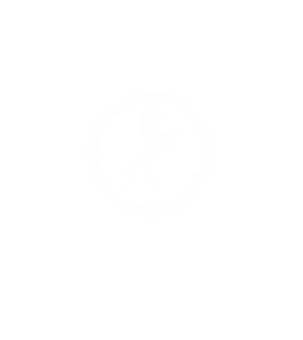 horse badge model  pe tricou