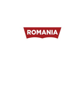 România levis model gri pe tricou