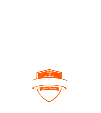 HANDBALIST unic și inimitabil calitate premium model negru pe tricou