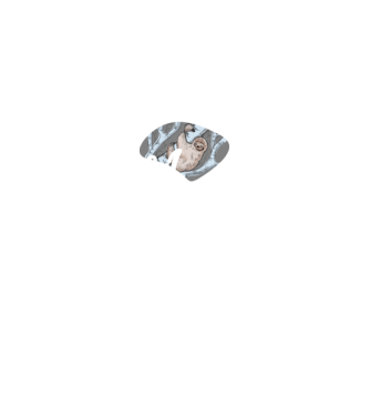 what does the sloth say model negru pe tricou