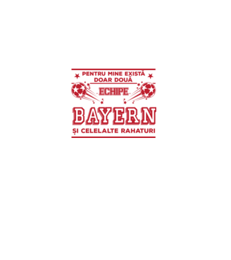 Pentru mine există doar două echipe, Bayern și celelalte rahaturi model alb pe tricou