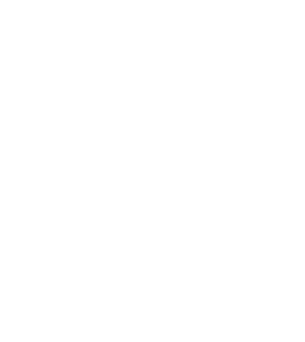 demodog logo model alb pe tricou