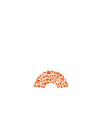 Pokeball model alb pe tricou