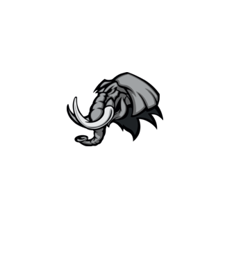 Elephant model galben pe tricou
