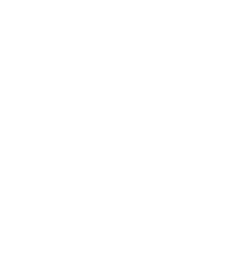 Bug fixed model negru pe tricou
